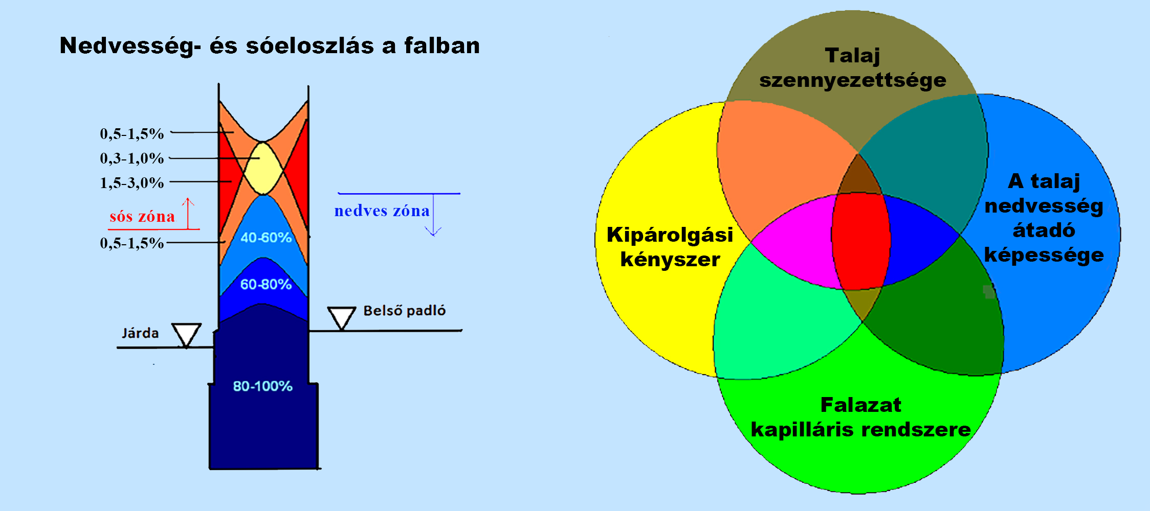 Kezdőlap